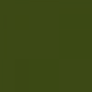 Olive Green - BS 220 - Standard Colour - Paintman Paint