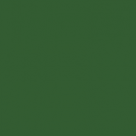 Light Brunswick Green - BS225 - Standard Colour - Paintman Paint