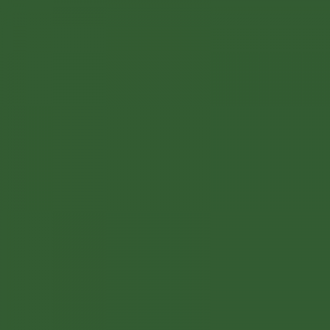 Light Brunswick Green - BS225 - Standard Colour - Paintman Paint