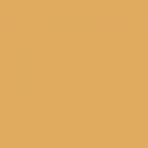 Light Buff - BS358 - Standard Colour - Paintman Paint