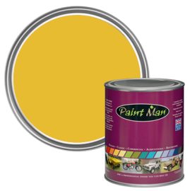 Lotus Yellow L07 paint swatch