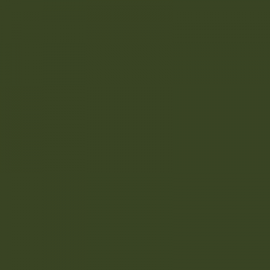 Mid Bronze Green - BS223 - Standard Colour - Paintman Paint