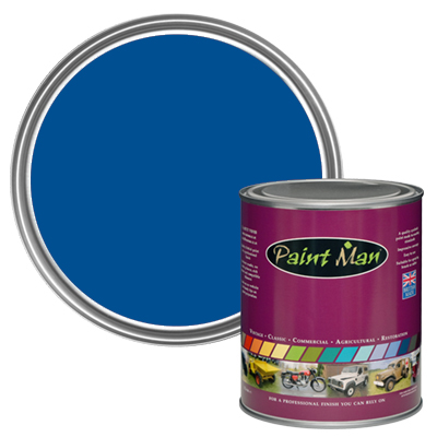 RAL 5017 Traffic Blue paint swatch