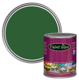 RAL 6002 Leaf Green paint swatch