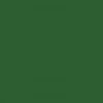 Leaf Green RAL 6002 - Standard Colour - Paintman Paint