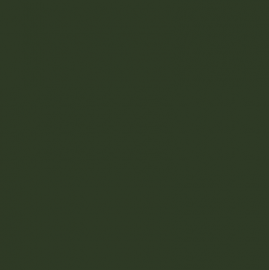 Bottle Green RAL 6007 - Standard Colour - Paintman Paint