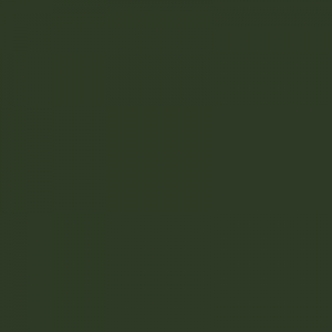 Bottle Green RAL 6007 - Standard Colour - Paintman Paint