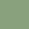 RAL6021 Pale Green