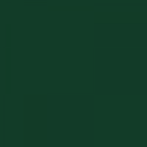 Rover Group Dark British Racing Green - GN29 - Paintman Paint