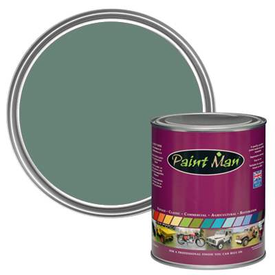 Rover Group Island Green - GN6 paint swatch