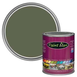 Rover Group Rush Green paint swatch