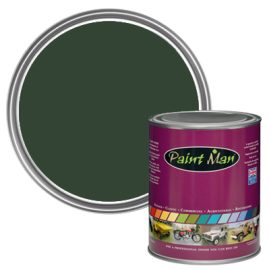 Rover Group Shadow Green paint swatch