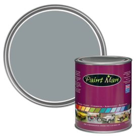 Silver Grey RAL 7001 paint swatch