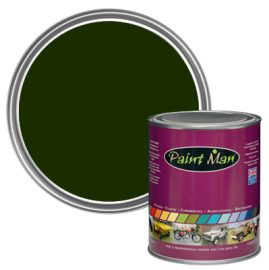 Triumph British Racing Green – GN75 paint swatch