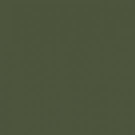 Olive Green RAL 6003 - Standard Colour - Paintman Paint