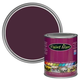 Purple Violet RAL 4007 paint swatch