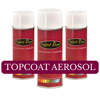 Coach Enamel Aerosol Pack