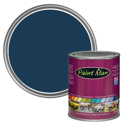 Rover Group Corsica Blue paint swatch