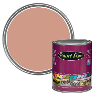 RAL 040 70 20 Design Pink paint swatch