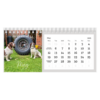 Pets & Projects Paintman Paint Desk Calendar 2025/2026 - Image 3