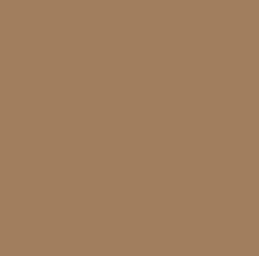 VW Volkswagen Timor Beige LH8T